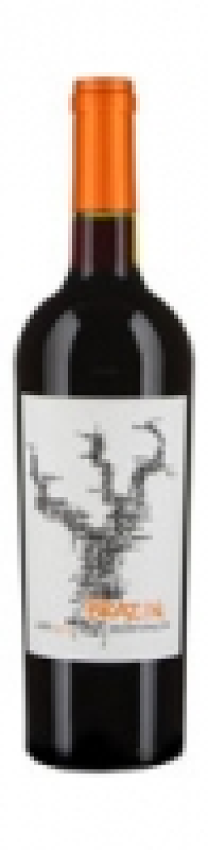 Zinfandel Lodi Brazin 2012