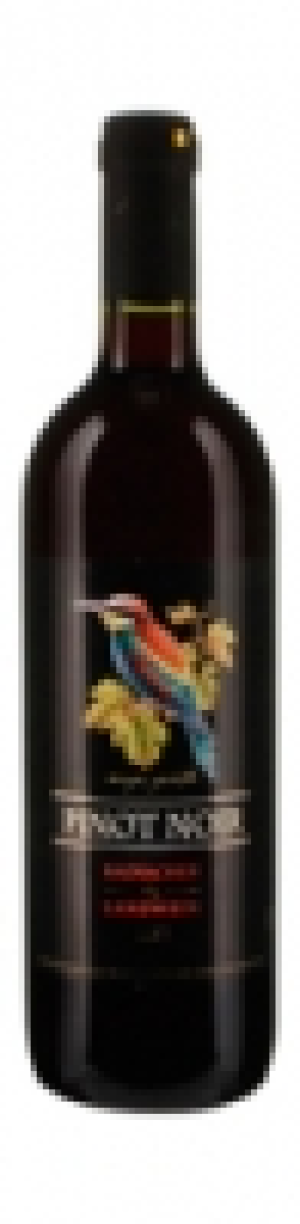 Pinot Noir Badischer Landwein 2014