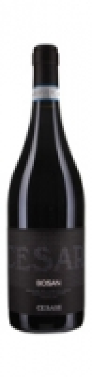 Amarone della Valpolicella Bosan Cesari DOC 2008