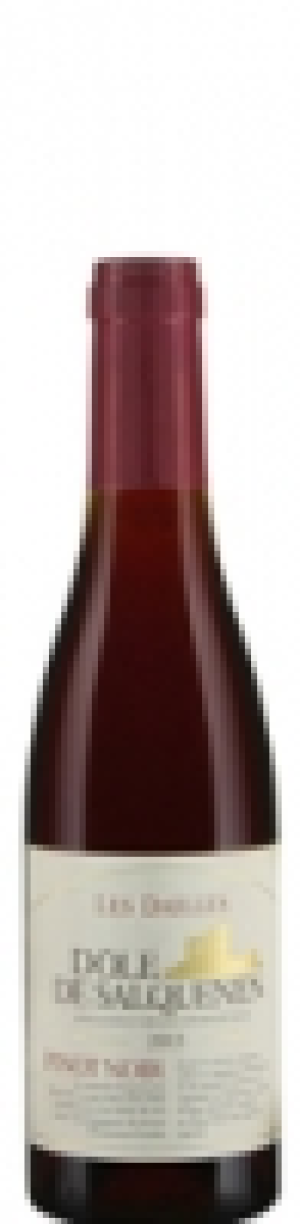 Les Dailles D&ocirc;le de Salquenen AOC 2013