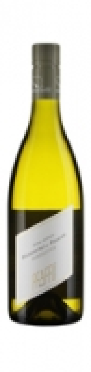 Pfaffl Hundsleiten Gr&uuml;ner Veltliner 2013