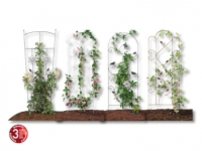 Rankgitter Dieser Artikel ist nur in der Deutschschweiz verf&uuml;gbar.