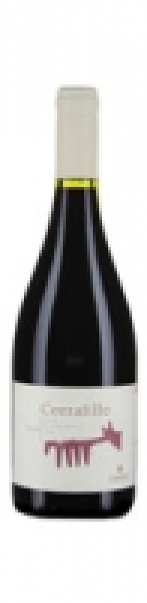 San Antonio Valley Syrah Corralillo Matetic 2012