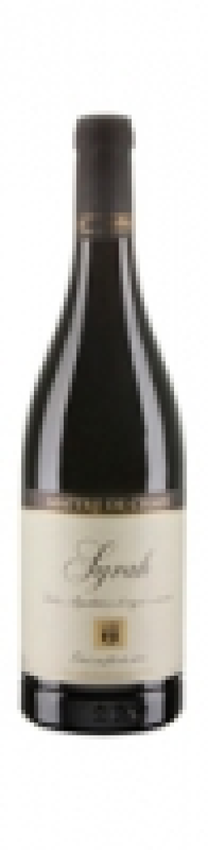 Maître de Chais Syrah Valais AOC 2010