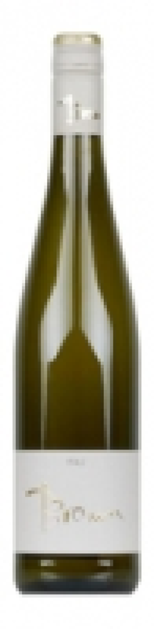 Riesling Pfalz trocken Braun 2013
