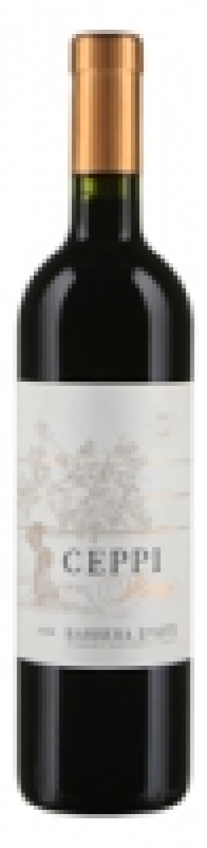 Barbera dAsti Ceppi Storici Araldica DOC 2013