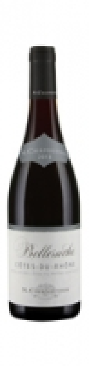 Côtes-du-Rhône Belleruche M. Chapoutier AOC 2013