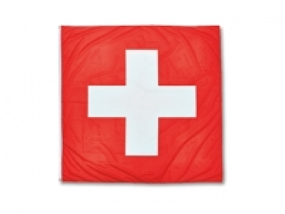 Fahne mit 2 Ösen CHF 12.95