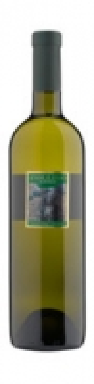 Collivo Bianco Ticino DOC 2013