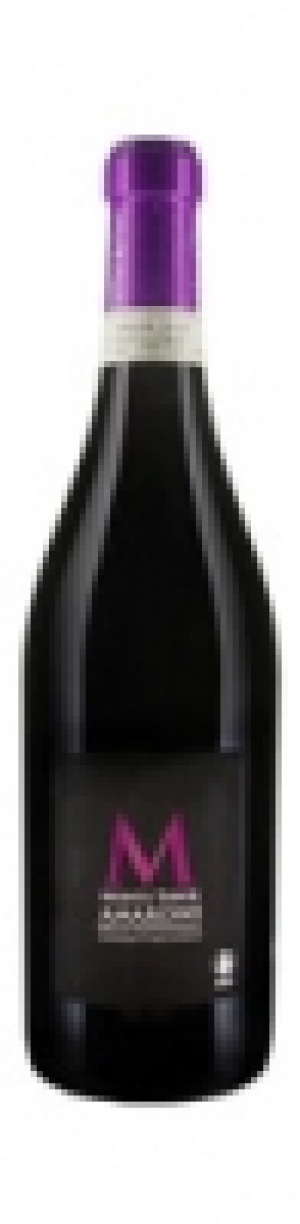 Naturaplan Bio-Amarone della Valpolicella DOC Monte Tabor 2010