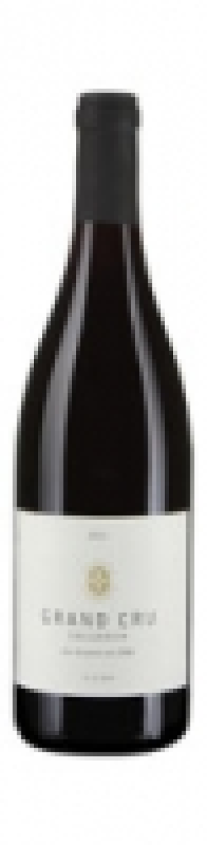 Valais AOC Grand Cru Pinot Noir Salquenen 2013