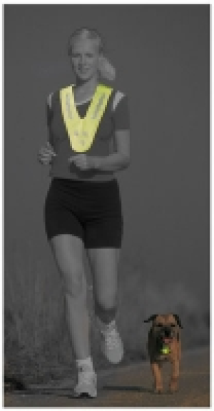 Reflex-Vest Sicherheitsweste CHF 8.90