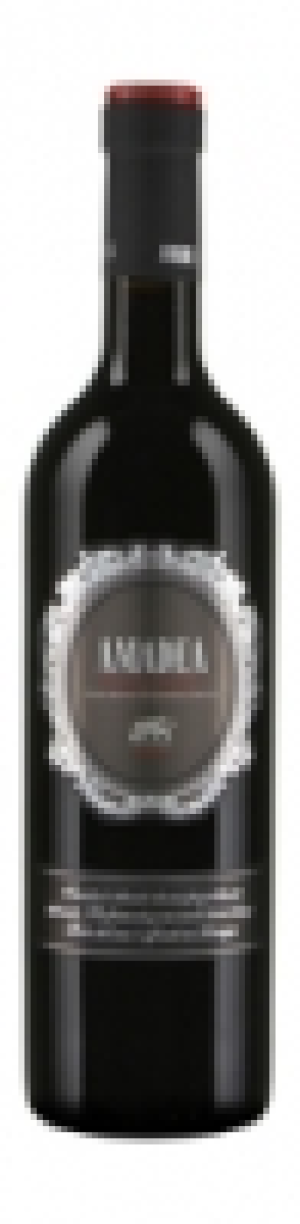 Amadea Rosso Veneto IGT 2011 CHF 12.50