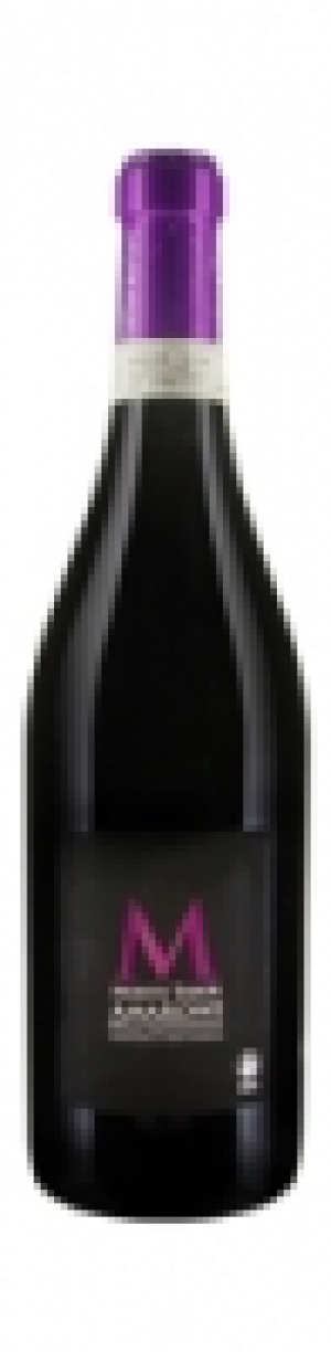 Naturaplan Bio Amarone della Valpolicella DOC Monte Tabor 2009