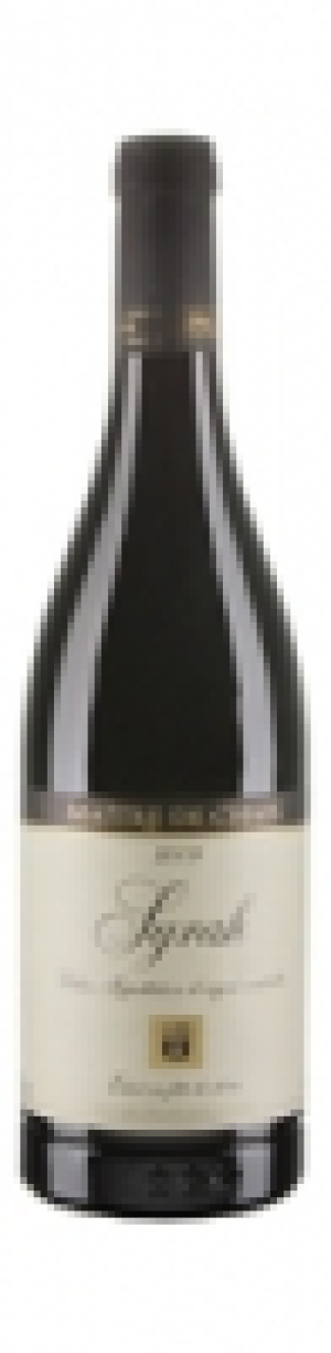 Valais AOC Syrah Maître Chais 2009