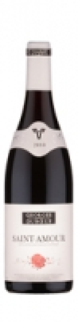 Saint-Amour Georges Duboeuf AOC 2010
