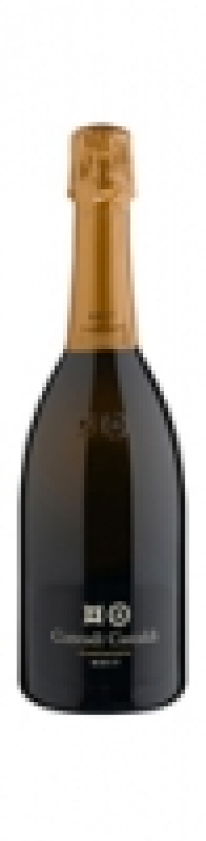 Franciacorta DOCG Contadi Castaldi, brut