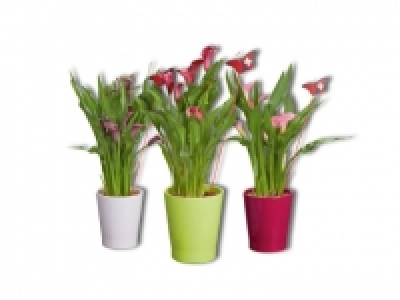 Calla in Keramik im Schweizer Schmetterlings-Look