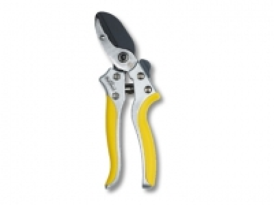 Amboss-Schere CHF 4.99