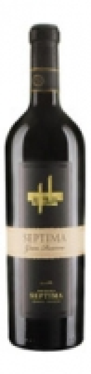 Mendoza Argentina Gran Reserva Bodega Septima 2012 CHF&nbsp;18.95