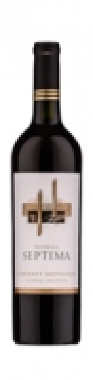 Bodega Septima Cabernet Sauvignon Mendoza 2013 CHF 12.95