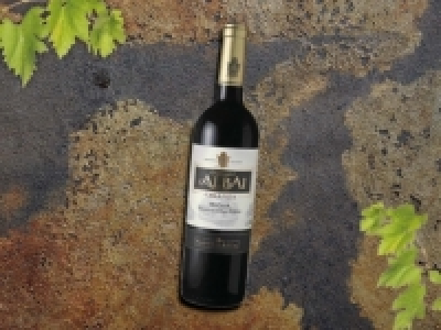 Castillo de Albai Rioja DOCa Crianza CHF&nbsp;4.49