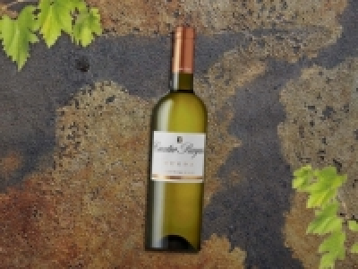 Cuatro Rayas Sauvignon Joven, Castilla-Le&Auml;&sup3;n, Rueda DO