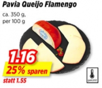 Pavia Queijo Flamengo
