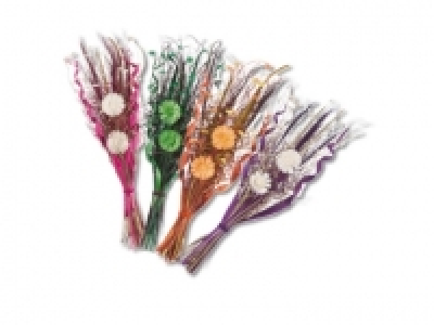 Trockenstr&auml;usse CHF&nbsp;9.99