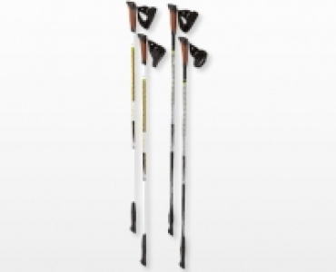 ADVENTURIDGE® Nordic Walking-Stöcke CHF 19.99