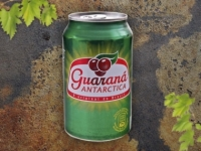 Guaran&Auml;&iexcl; Antarctica, 6er Pack CHF&nbsp;3.79