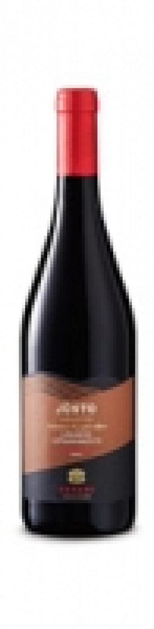 Venezie IGT Jùsto Cesari 2013 CHF 8.75