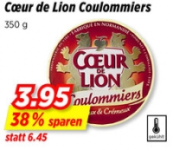 Cur de Lion Coulommiers