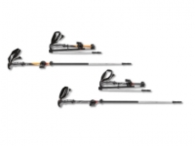 AX-Carbon-Trekkingst&ouml;cke CHF&nbsp;22.00
