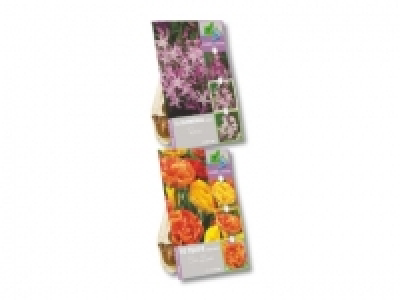 Blumenzwiebeln Mix changing colours CHF 2.99