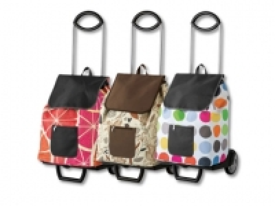 Einkaufstrolley CHF 22.00