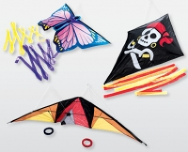 CRANE® Drachen CHF 6.99
