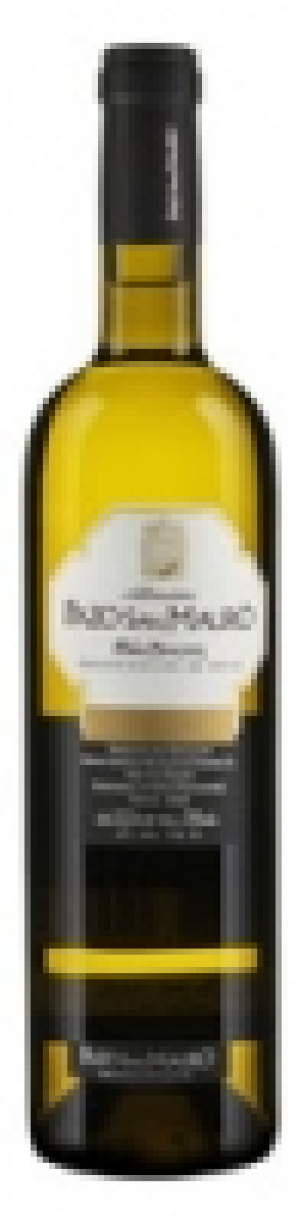 Rías Baixas DO Albariño Pazo San Mauro 2014 CHF 11.50