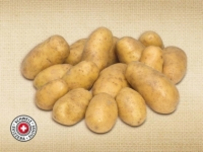 Bio-Kartoffeln