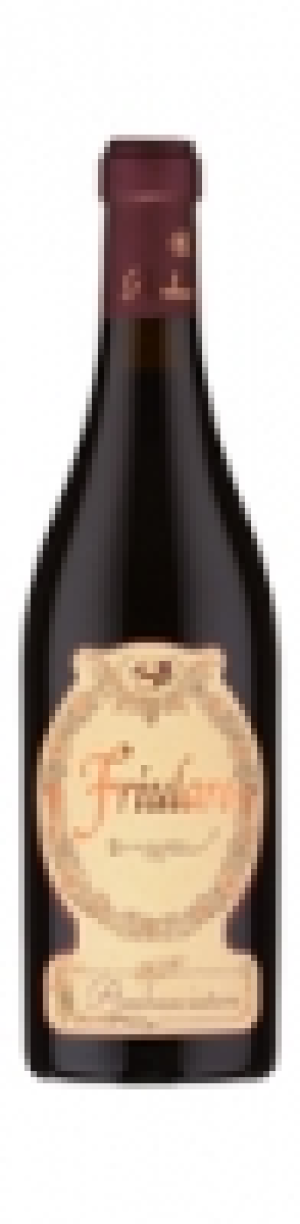 Friularo Ambasciatore Bagnoli DOC 2009 CHF 19.95