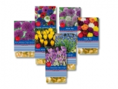 Fr&uuml;hjahrsblumenzwiebeln (ab 21.9.)