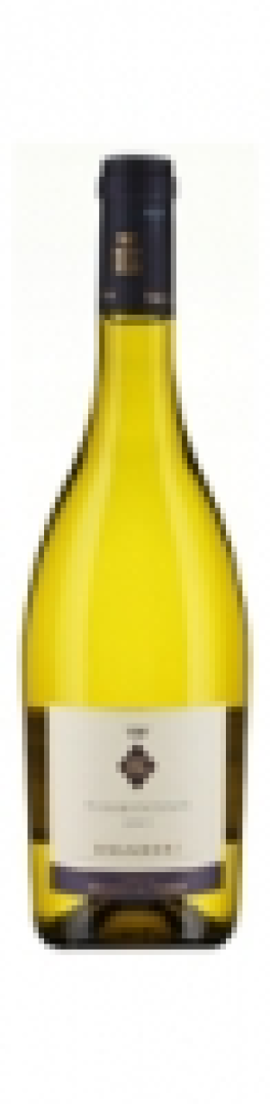 Bolgheri DOC Vermentino Guado al Tasso 2013