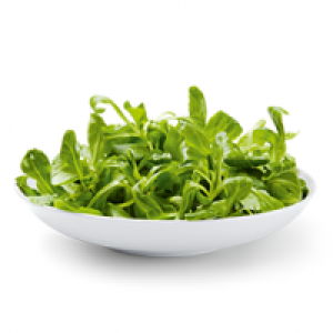 Nüsslisalat CHF 3.95
