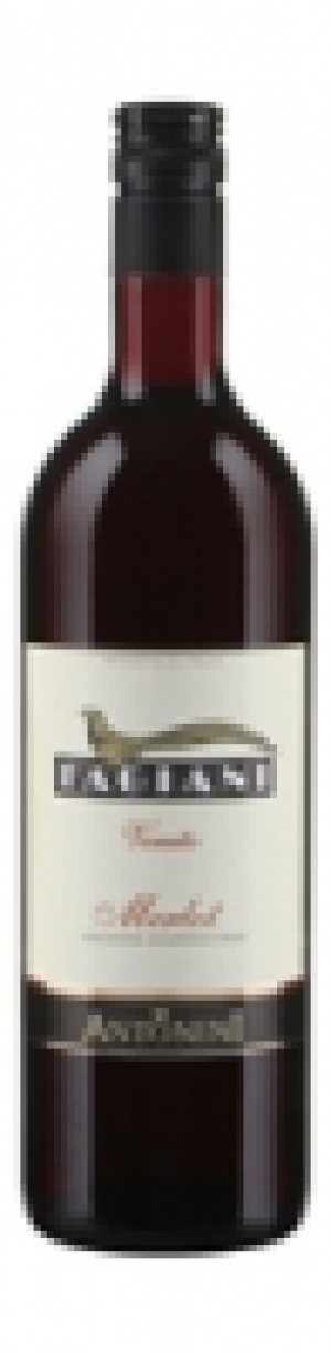 Merlot Veneto Fagiani Antonini 2013