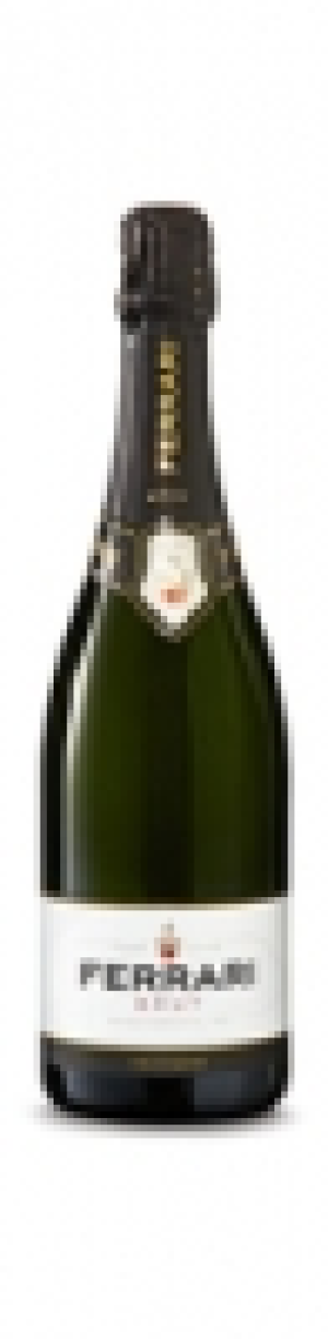Trento DOC Ferrari brut
