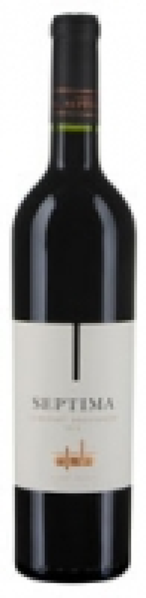 Bodega Septima Cabernet Sauvignon Mendoza 2013