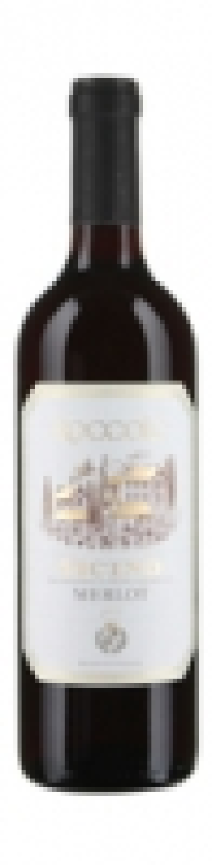 Ticino DOC Merlot Roccolo 2013