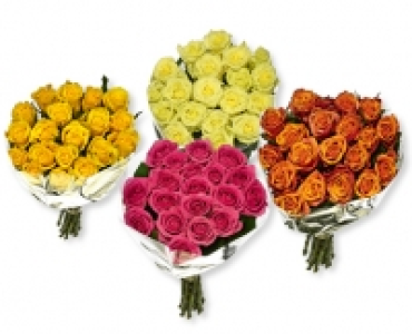 FAIRTRADE Max Havelaar Langstielrosen CHF 9.99