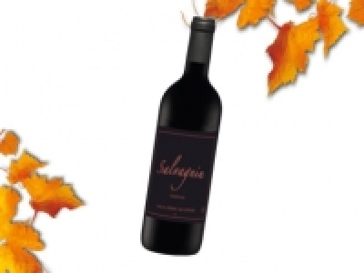 Salvagnin AOC, Waadt