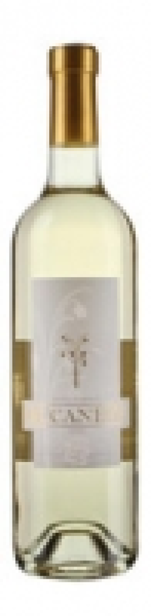 Ticino DOC Merlot Bianco Bucaneve 2014